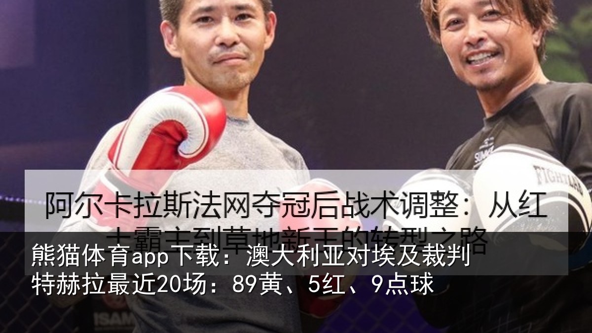 熊猫体育app下载：澳大利亚对埃及裁判特赫拉最近20场：89黄、5红、9点球