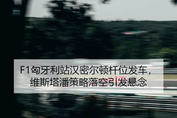 xiong-ya-li-zhan-han-mi-er-dun-gan-wei-fa-che-wei-si-ta-pan-ce-lve-luo-kong-yin-fa-xuan-nian-2-293.jpg