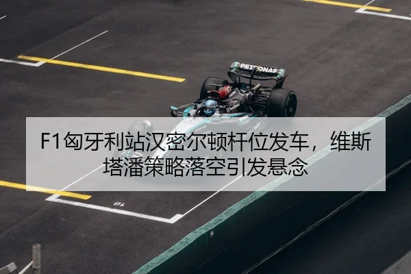 xiong-ya-li-zhan-han-mi-er-dun-gan-wei-fa-che-wei-si-ta-pan-ce-lve-luo-kong-yin-fa-xuan-nian-3-137.jpg