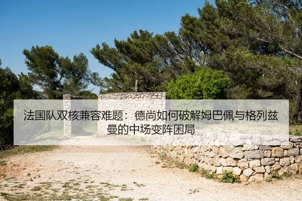 fa-guo-dui-shuang-he-jian-rong-nan-ti-de-shang-ru-he-po-jie-mu-ba-pei-yu-ge-lie-zi-man-de-zhong-chang-bian-zhen-kun-ju-2-203.jpg