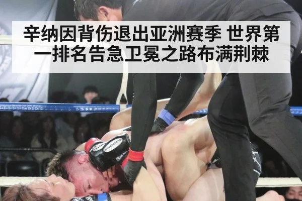辛纳因背伤退出亚洲赛季 世界第一排名告急卫冕之路布满荆棘